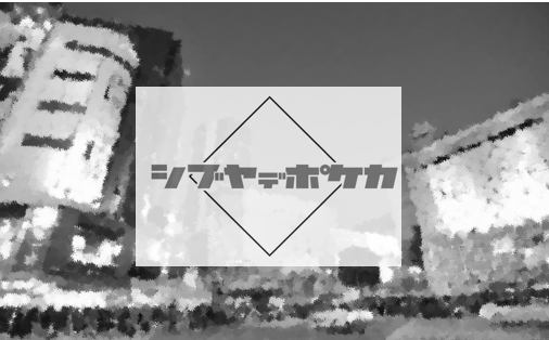 Pocket Zine ポケジン Pocket Zine ポケジン