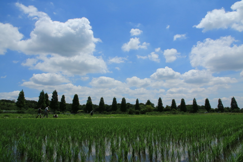 f:id:isigami215:20150623180139j:image