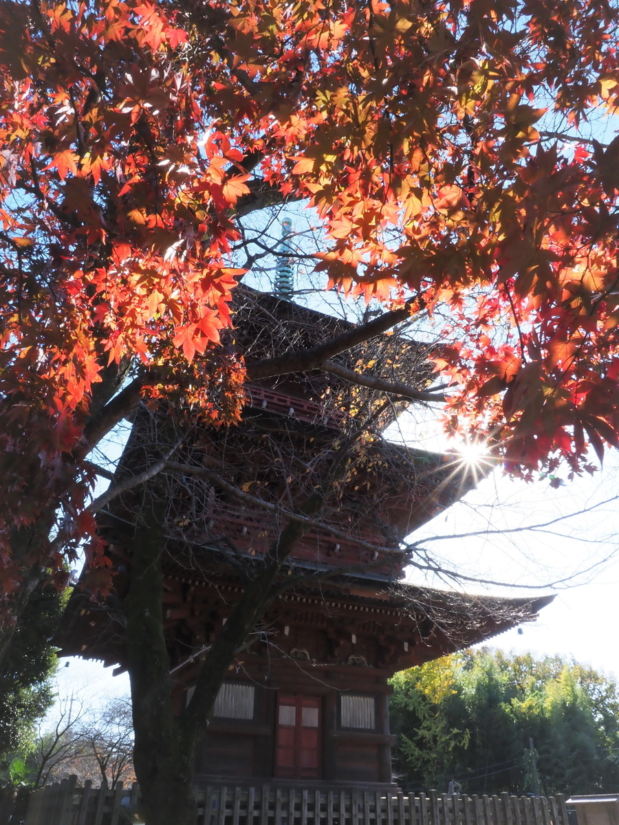 f:id:isigami215:20201205123058j:plain
