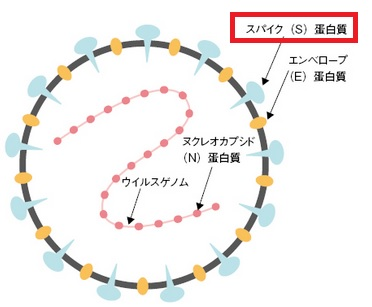 f:id:isinoisino:20201126131613p:plain