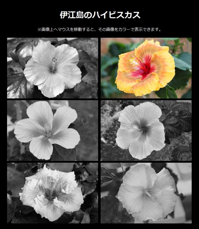 f:id:island-web:20120416000232j:image:w500 f:id:island-web:20120416000232j:image:w500