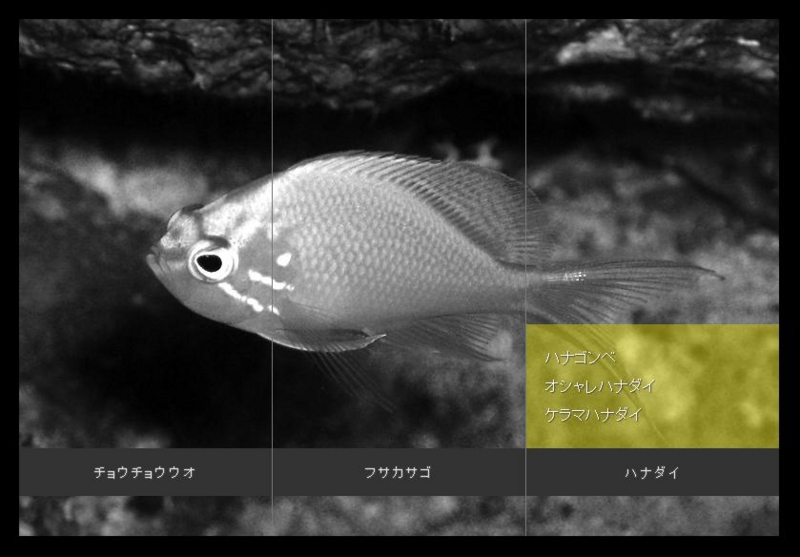 f:id:island-web:20120804234423j:image:w550 f:id:island-web:20120804234423j:image:w550