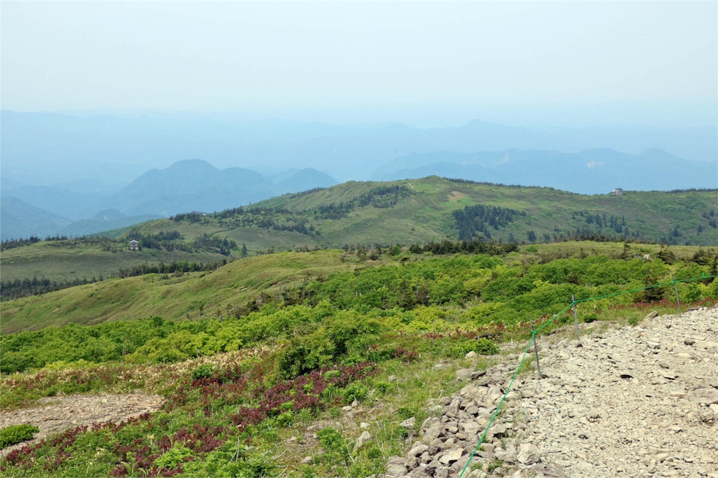 f:id:islandernx:20160710221913j:image f:id:islandernx:20160710221913j:image