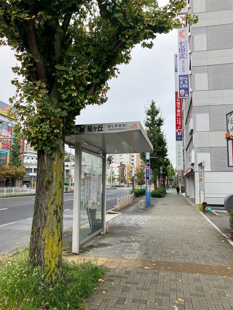 f:id:islandernx:20241015083954j:image
