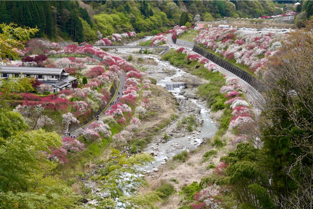 f:id:islandernx:20260501201118j:image
