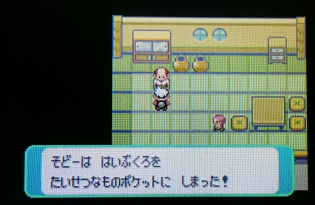 500以上のトップ画像をダウンロード ほとんどのダウンロード ポケモン エメラルド ハート の ウロコ