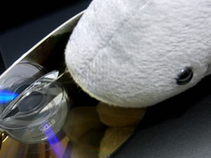 20130404013929