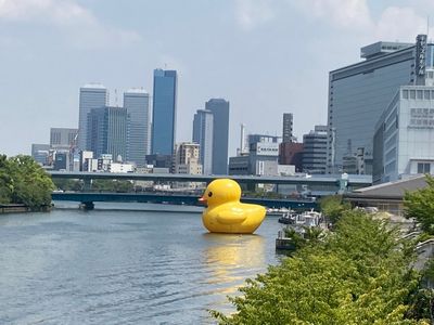 ラバーダック