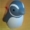f:id:iso92:20171216084344j:image f:id:iso92:20171216084344j:image