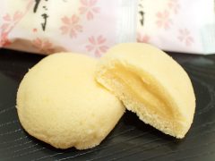 f:id:isobebuta:20200530190654j:plain f:id:isobebuta:20200530190654j:plain