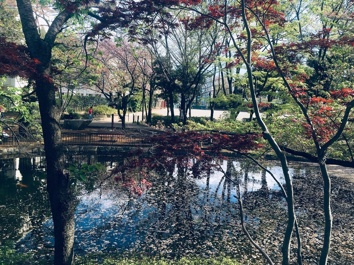 f:id:isogai_1:20190416111907j:plain f:id:isogai_1:20190416111907j:plain
