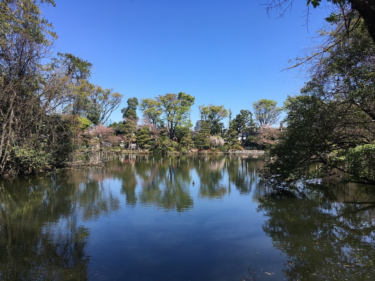 f:id:isogai_1:20190417081907j:plain f:id:isogai_1:20190417081907j:plain