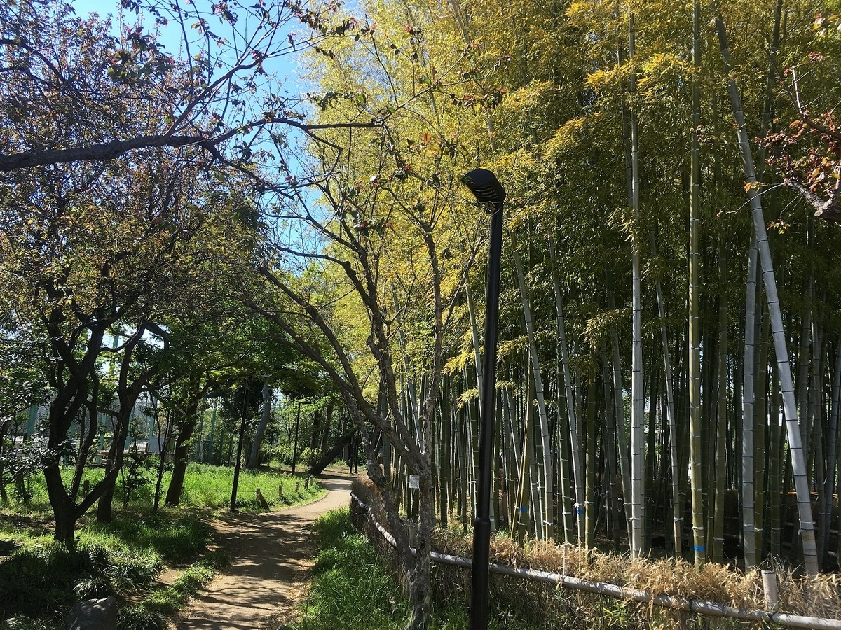 f:id:isogai_1:20190417082936j:plain f:id:isogai_1:20190417082936j:plain