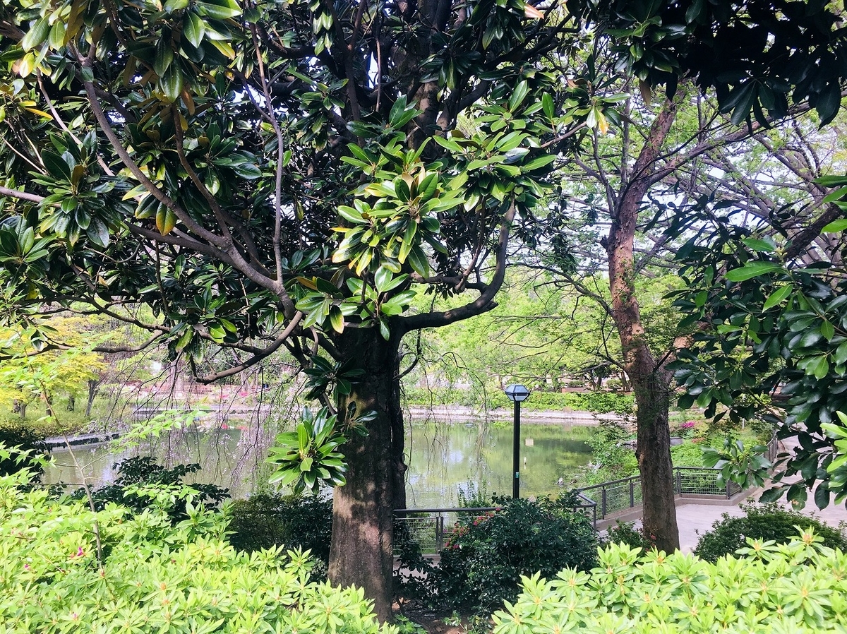 f:id:isogai_1:20190420082955j:plain f:id:isogai_1:20190420082955j:plain