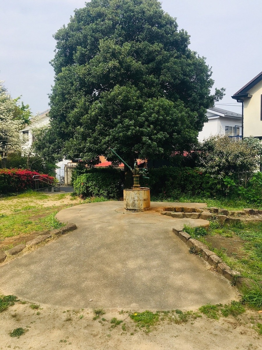 f:id:isogai_1:20190420083147j:plain f:id:isogai_1:20190420083147j:plain