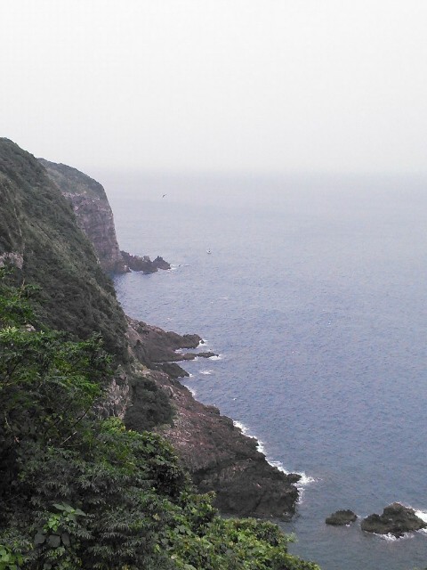 f:id:isohae:20190328183146j:image