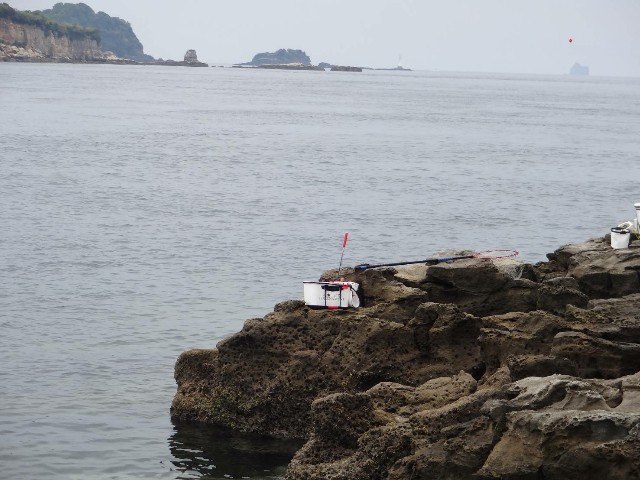 f:id:isohae:20190507122604j:image