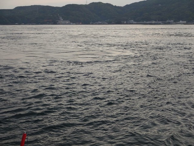 f:id:isohae:20190507123001j:image