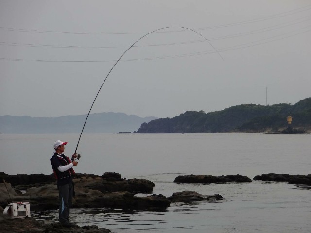 f:id:isohae:20190507123146j:image