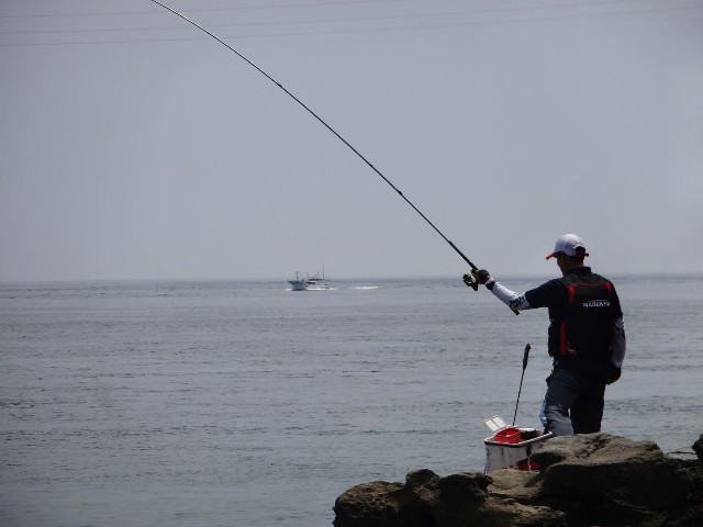 f:id:isohae:20190507182142j:image