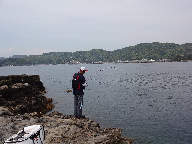 f:id:isohae:20190507182750j:image