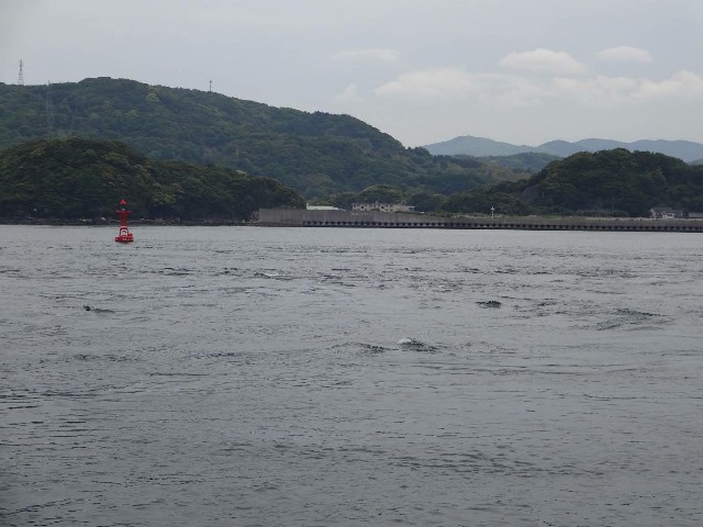 f:id:isohae:20190507190305j:image