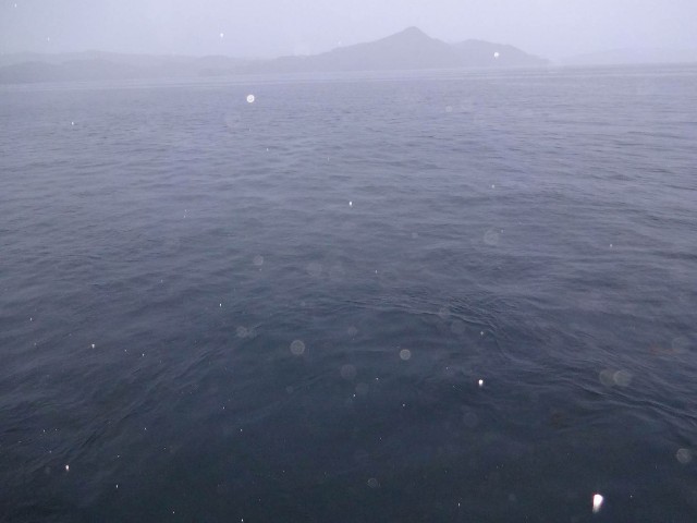f:id:isohae:20190521054438j:image