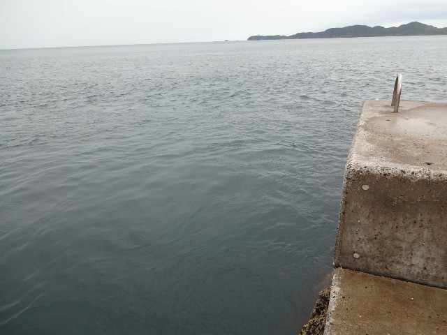 f:id:isohae:20190521130456j:image