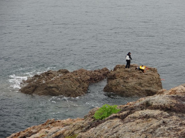 f:id:isohae:20190521130738j:image