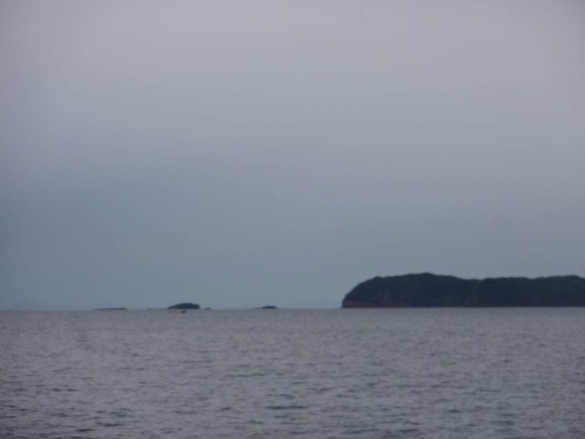 f:id:isohae:20190521131139j:image