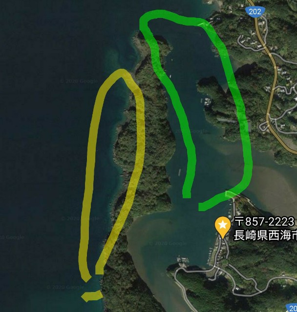 f:id:isohae:20200217192751j:image