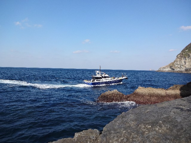 f:id:isohae:20200222123339j:image