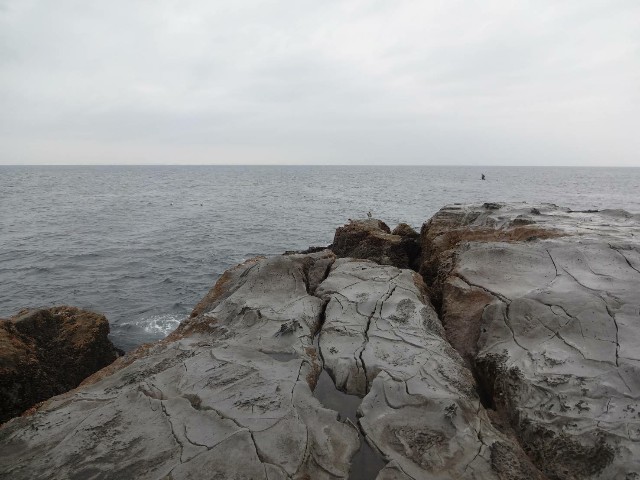 f:id:isohae:20200310194037j:image f:id:isohae:20200310194037j:image