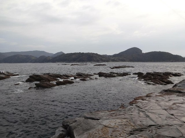 f:id:isohae:20200311073104j:image