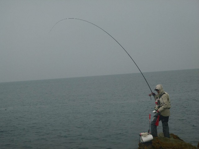 f:id:isohae:20200311075401j:image f:id:isohae:20200311075401j:image