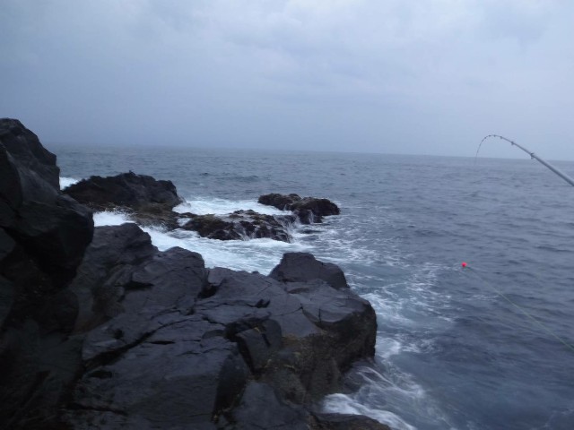 f:id:isohae:20200324074107j:image