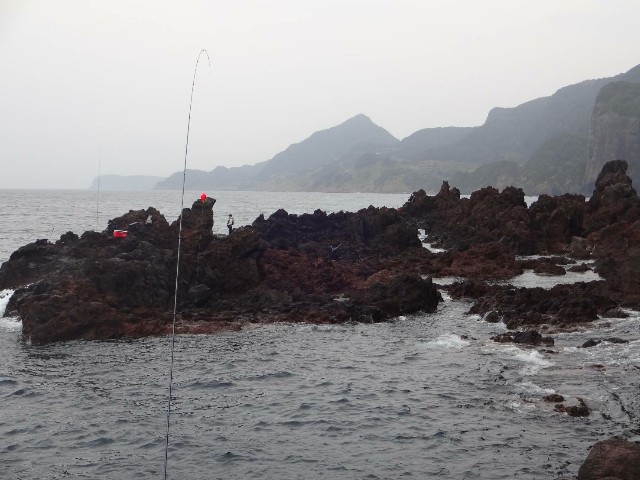 f:id:isohae:20200324074319j:image