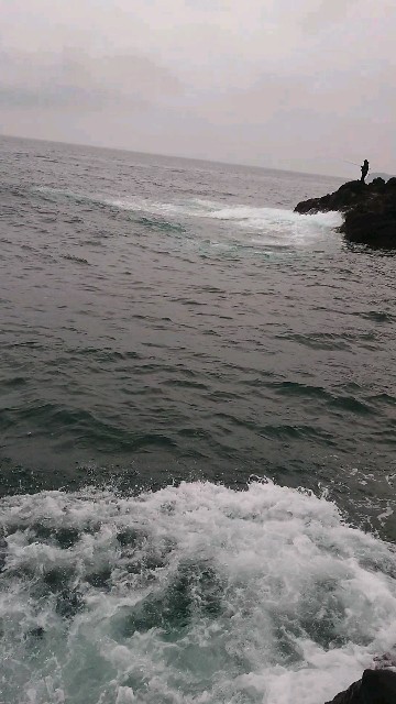f:id:isohae:20200324122213j:image