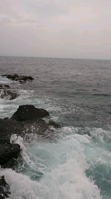 f:id:isohae:20200324122243j:image