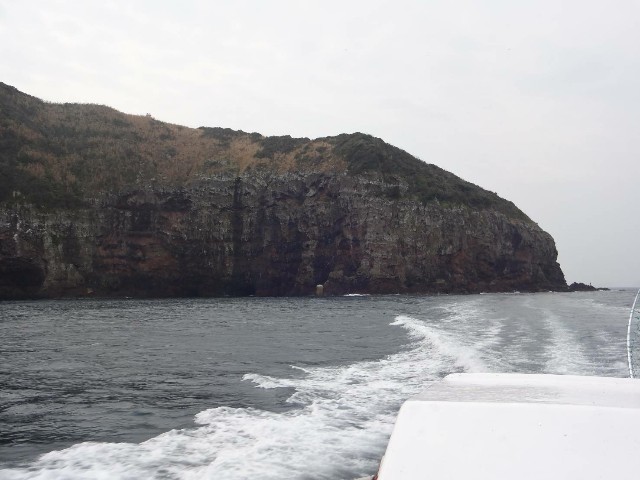 f:id:isohae:20200324202135j:image f:id:isohae:20200324202135j:image
