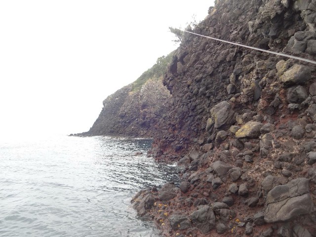 f:id:isohae:20200325074452j:image