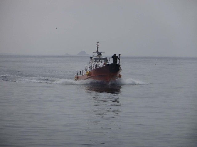 f:id:isohae:20200325102520j:image f:id:isohae:20200325102520j:image