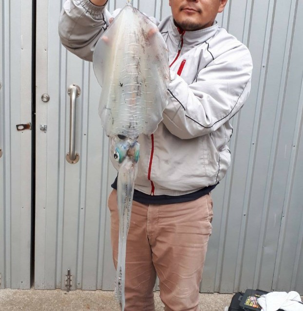f:id:isohae:20200331214639j:image