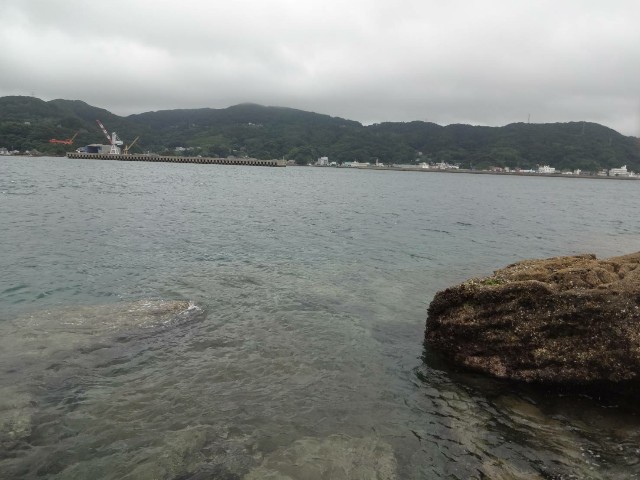 f:id:isohae:20200707183136j:image