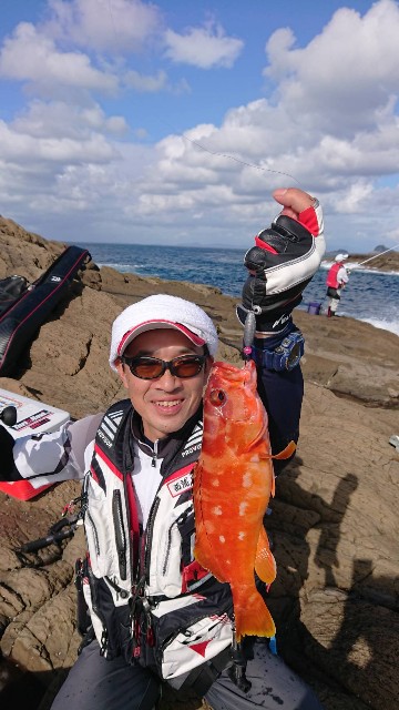 f:id:isohae:20200728120743j:image f:id:isohae:20200728120743j:image