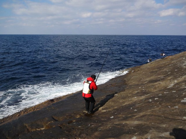 f:id:isohae:20201208213330j:image