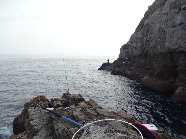 f:id:isohae:20201215124035j:image