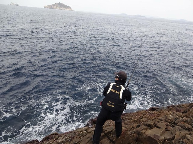f:id:isohae:20201215200639j:image