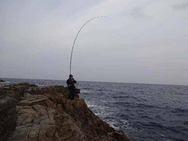f:id:isohae:20201215200828j:image