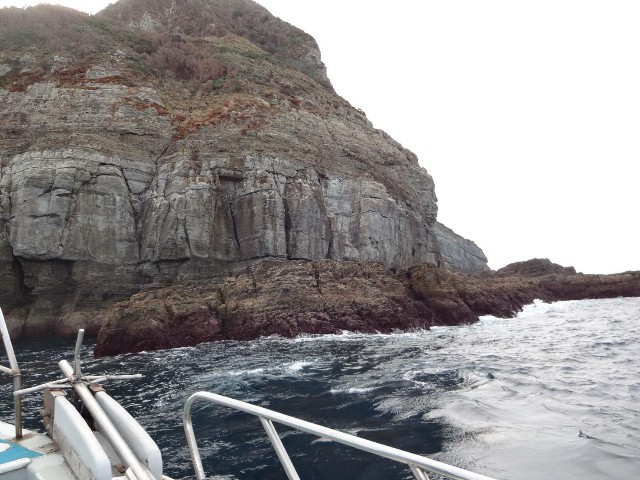 f:id:isohae:20201215204019j:image